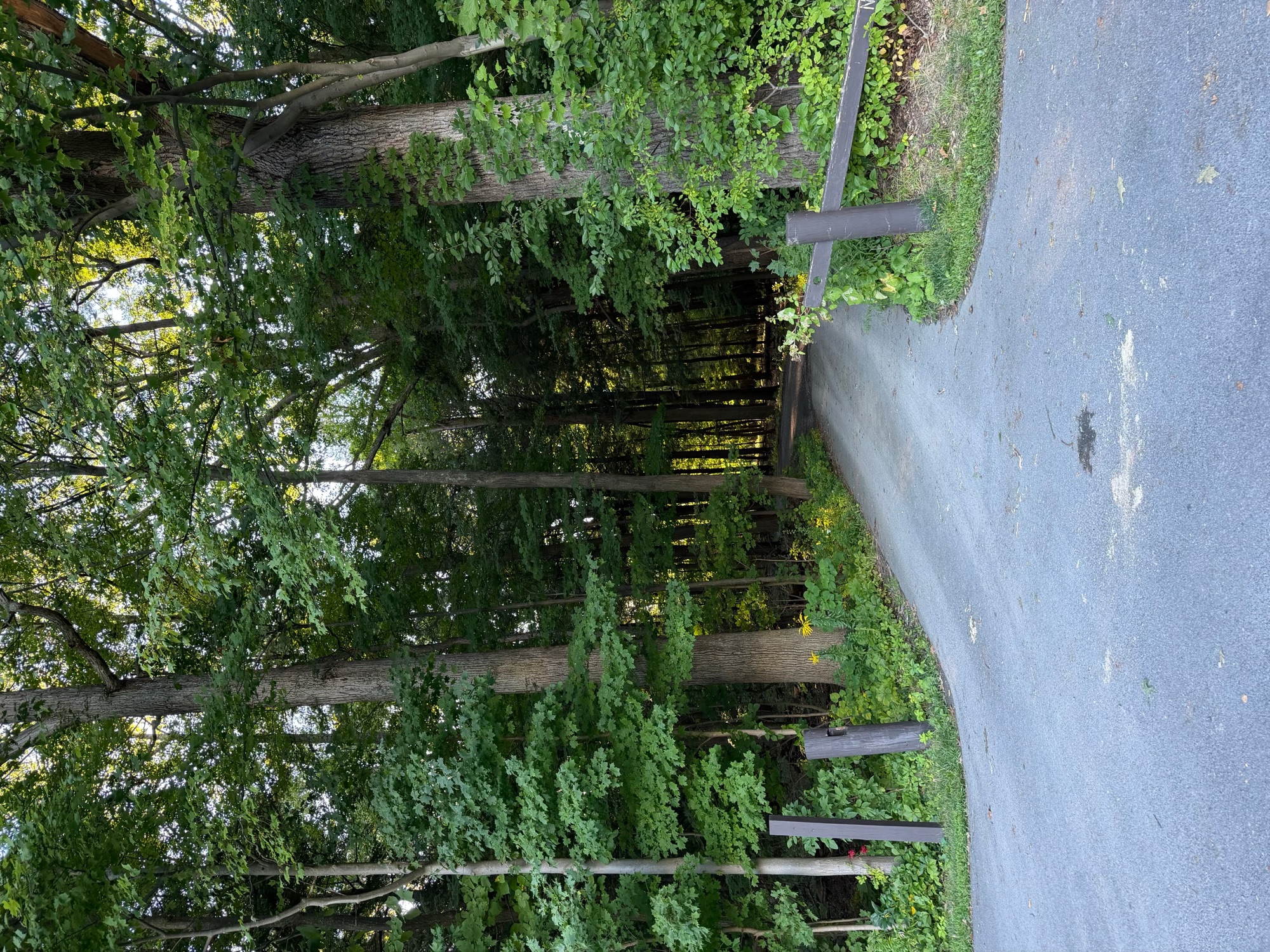 Road trip photo 18